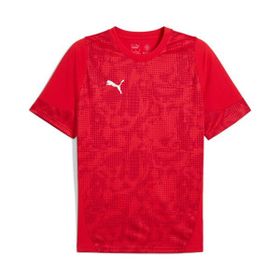 Puma 65916701 Kırmızı Teamcup Training Jersey Erkek Futbol Tişörtü