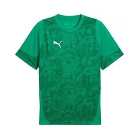 Puma 65916705 Yeşil Teamcup Training Jersey Erkek Futbol Tişörtü