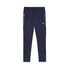 Puma 65917506 Teamcup Training Pants Gri Erkek Eşofman Altı