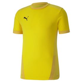 Puma 70417107 Team Goal 23 Erkek Çok Renkli Futbol Tişört