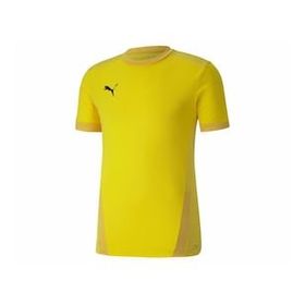 Puma 70417107 Team Goal 23 Erkek Çok Renkli Futbol Tişört