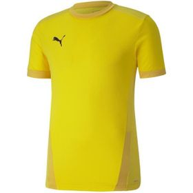 Puma 70417107 Team Goal 23 Erkek Çok Renkli Futbol Tişört