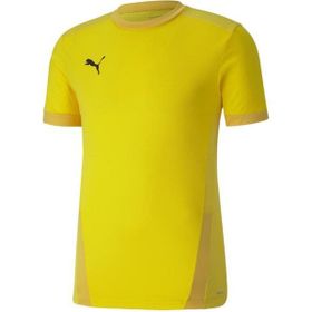 Puma 70417107 Team Goal 23 Erkek Çok Renkli Futbol Tişört