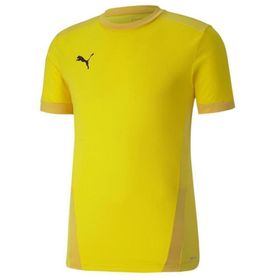Puma 70417107 Team Goal 23 Erkek Çok Renkli Futbol Tişört
