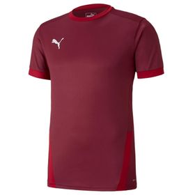 Puma 70417109 Team Goal 23 Erkek Çok Renkli Futbol Tişört