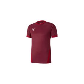 Puma 70417109 Team Goal 23 Erkek Çok Renkli Futbol Tişört