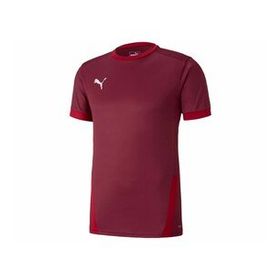 Puma 70417109 Team Goal 23 Erkek Çok Renkli Futbol Tişört