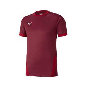 Puma 70417109 Team Goal 23 Erkek Çok Renkli Futbol Tişört