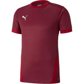 Puma 70417109 Team Goal 23 Erkek Çok Renkli Futbol Tişört