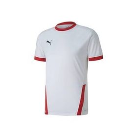 Puma 70417111 Teamgoal 23 Jersey Beyaz Erkek Futbol Forması