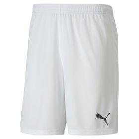 Puma 70426204 Team Goal 23 Erkek Çok Renkli Futbol Şort
