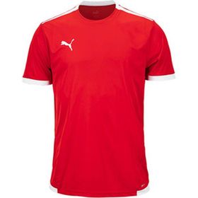 Puma 70491701 Teamliga Jersey Siyah Futbol Erkek Forması