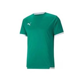 Puma 70491705 Teamliga Jersey Yeşil Erkek Futbol Forması