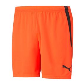 Puma 70492445 Teamliga Shorts Turuncu Erkek Futbol Şortu