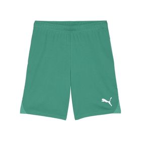 Puma 70575205 Teamgoal Shorts Yeşil Erkek Futbol Antrenman Şortu
