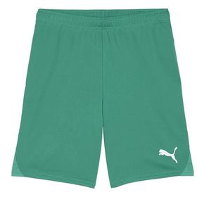 Puma 70575205 Teamgoal Shorts Yeşil Erkek Futbol Antrenman Şortu