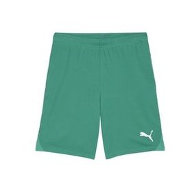 Puma 70575205 Teamgoal Shorts Yeşil Erkek Futbol Antrenman Şortu