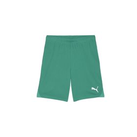 Puma 70575205 Teamgoal Shorts Yeşil Erkek Futbol Antrenman Şortu