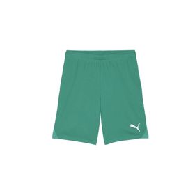 Puma 70575205 Teamgoal Shorts Yeşil Erkek Futbol Antrenman Şortu