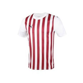 Puma 77881301 Home Jersey Beyaz Erkek Forması