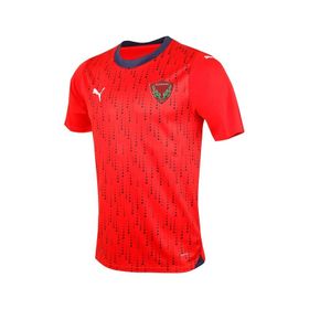 Puma 77881402 Away Jersey Kırmızı Erkek Forması