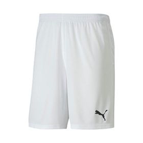 Puma Beyaz Erkek Teamgoal 23 Knit Shorts Futbol Maç Şortu