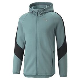 Puma Evostripe Kapüşonlu Erkek Sweatshirt