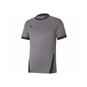 Puma Gri Teamgoal 23 Jersey Erkek Futbol Forması
