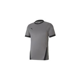 Puma Gri Teamgoal 23 Jersey Erkek Futbol Forması