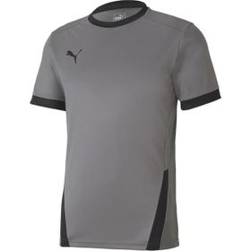 Puma Gri Teamgoal 23 Jersey Erkek Futbol Forması