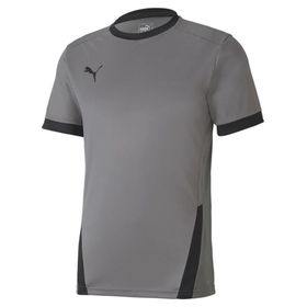 Puma Gri Teamgoal 23 Jersey Erkek Futbol Forması