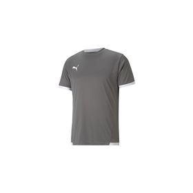 Puma Gri Teamliga Jersey Erkek Futbol Forması