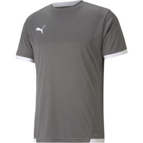 Puma Gri Teamliga Jersey Erkek Futbol Forması