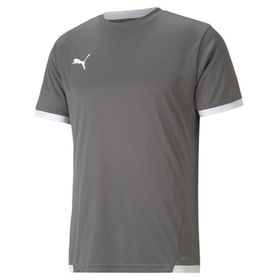 Puma Gri Teamliga Jersey Erkek Futbol Forması