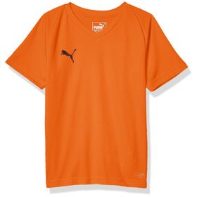 Puma Liga Core Erkek Şort