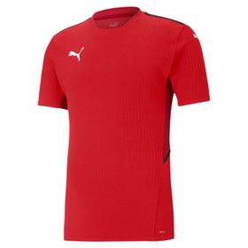 Puma Teamcup Jersey Beyaz Erkek T-shirt