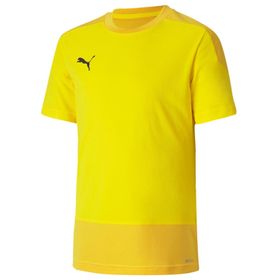 Puma Teamgoal 23 Training Jersey Erkek Futbol Forması