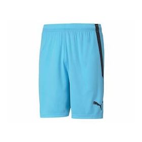 Puma Teamliga Shorts Mavi Erkek Futbol Şortu