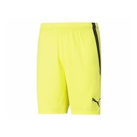 Puma Teamliga Shorts Sarı Erkek Futbol Şortu