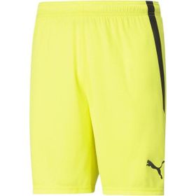 Puma Teamliga Shorts Sarı Erkek Futbol Şortu