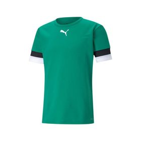 Puma Teamrise Jersey Yeşil Erkek Futbol Forması