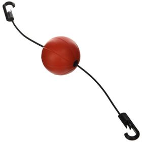 Pure P2I100250 Basketbol Şut Hedefi