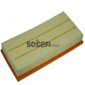 Purflux A Class W169 B Class W245 Hava Filtresi