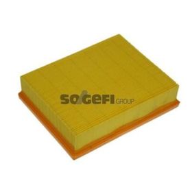 Purflux A Class W169 B Class W245 Hava Filtresi