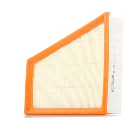 Purflux A1127 Hava Filtresi