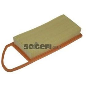 Purflux C1 C2 C3 Nemo Xsara Fıesta V Fusıon Mazda Iı P107 P206 P207 P307 Bıpper 1,4hdı Hava Filtresi