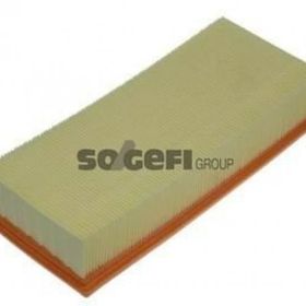 Purflux Lgn-espace-safrane 2.2 96-01 Hava Filtresi
