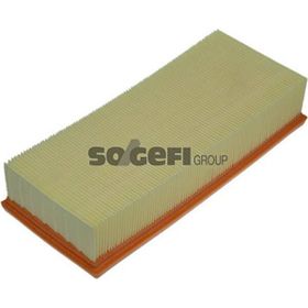 Purflux Lgn-espace-safrane 2.2 96-01 Hava Filtresi