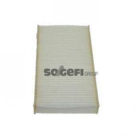 Purflux P407 C5 II C6 04 04 Polen Filtresi