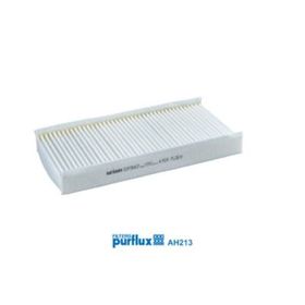 Purflux P407 C5 II C6 04 04 Polen Filtresi